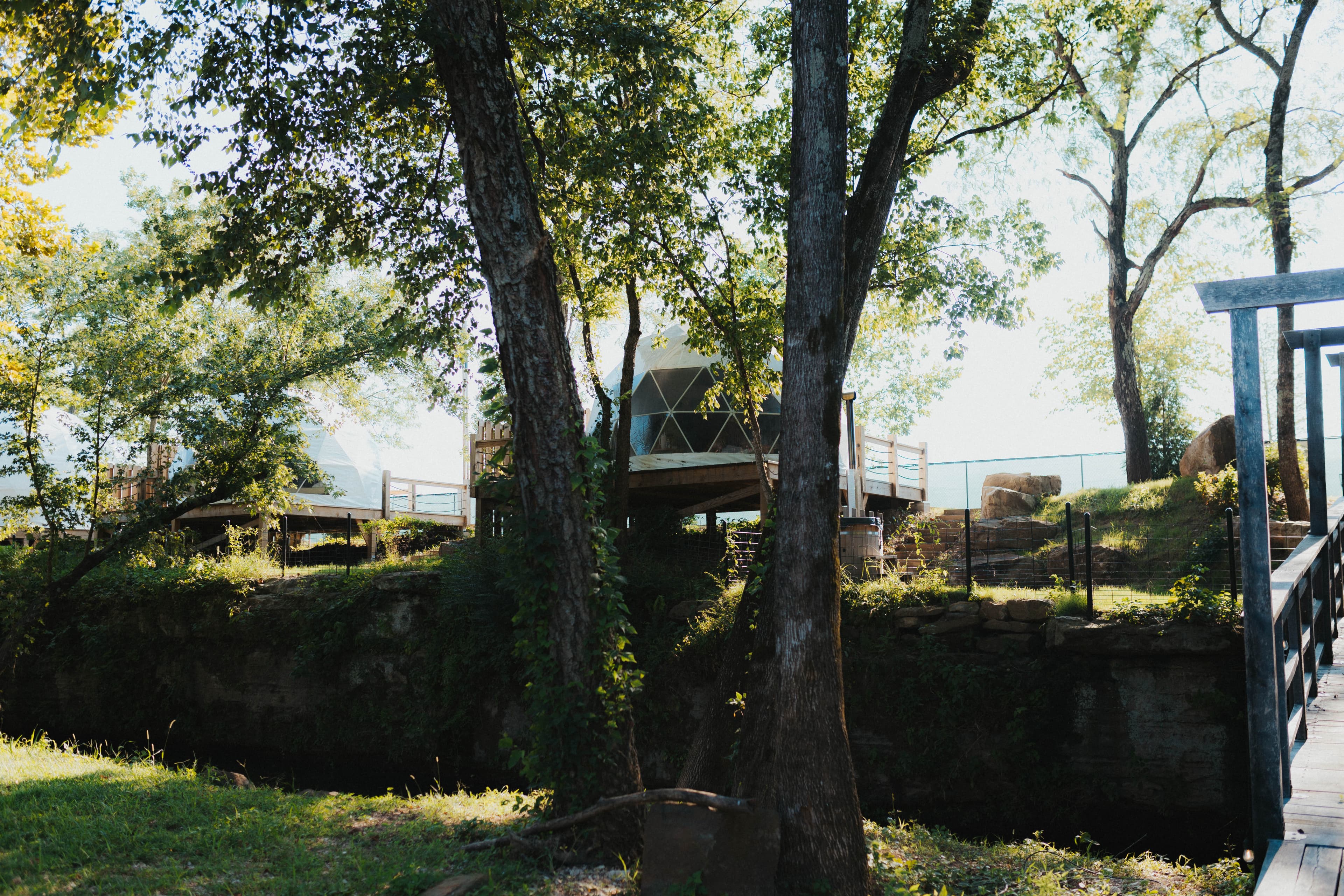 Glamping dome in scenic forest